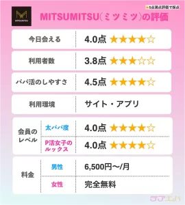 ミツミツ評判